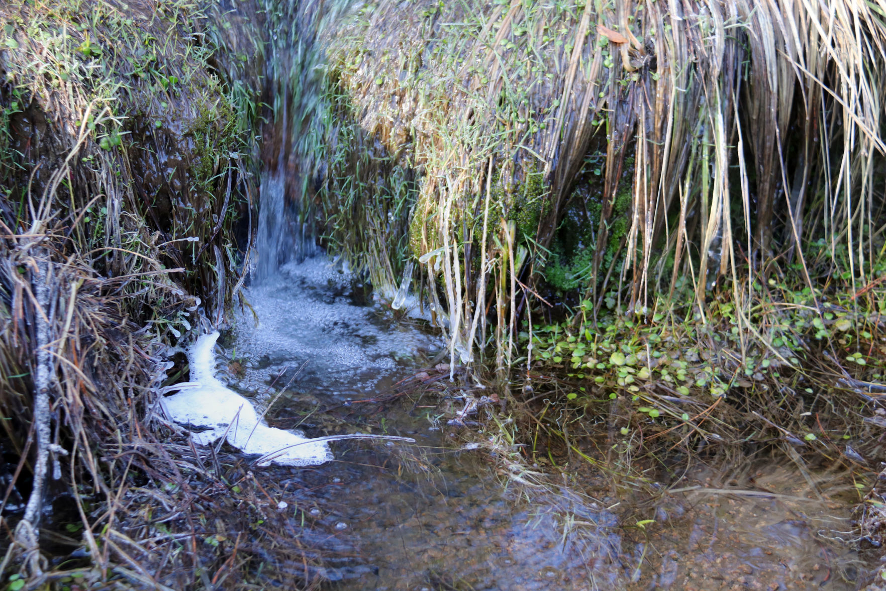 Waterfall on Monument Peak Loop Trail